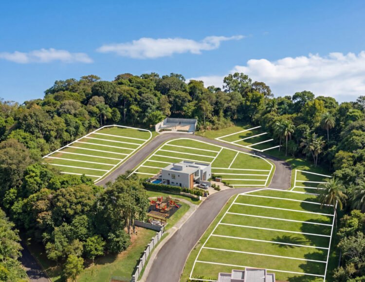 image render ant final copiar (1)